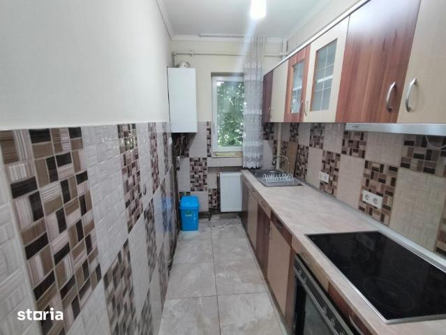 Apartament de inchiriat, 2 camere, Botizului