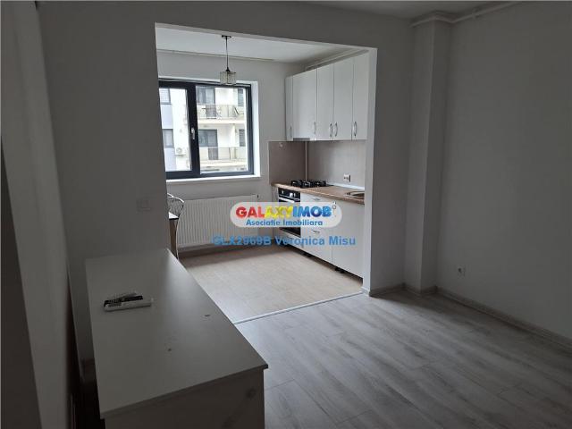 apartament de inchiriat 2 camere hils theodor pallady
