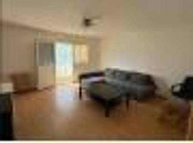 Apartament de inchiriat Bulevardul Castanilor str.Libelulei