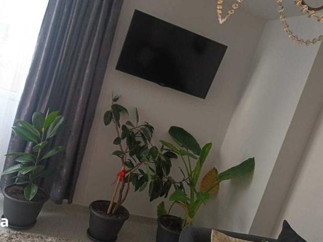 Apartament de inchiriat Cetate,zona ultracentrala