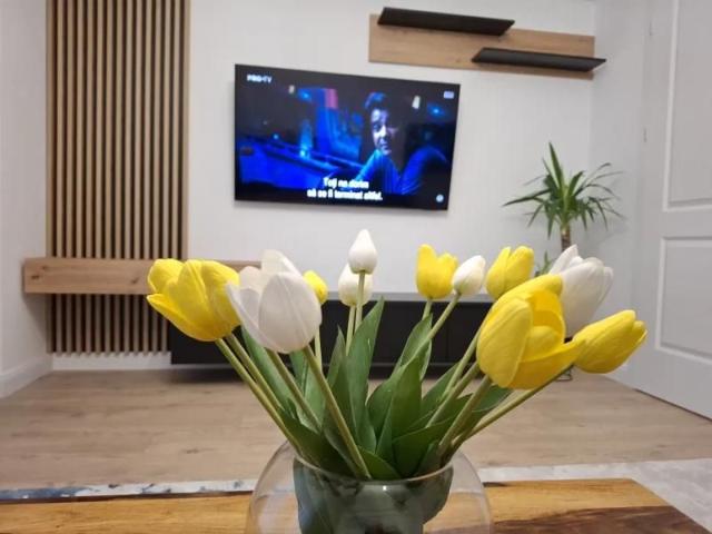 Apartament de inchiriat cu 1 camera Zona Tatarasi Iasi