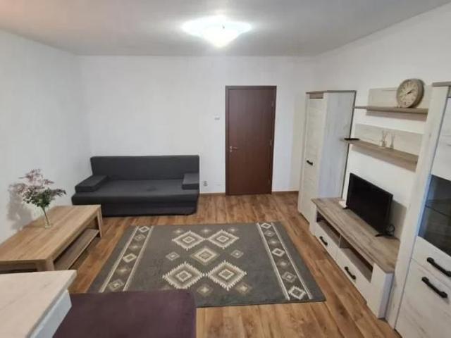 Apartament de inchiriat cu 1 camera Zona Tatarasi