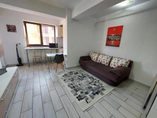 Apartament de inchiriat cu 1 camera Zona Tatarasi