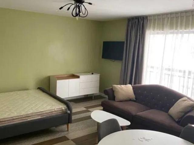Apartament de inchiriat cu 1 camere Zona Hlincea Frumoasa