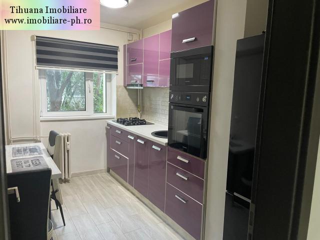 Apartament de inchiriat Malu Rosu