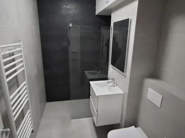 Apartament de inchiriat o camera Bucium