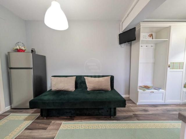 Apartament de Inchiriere 3 camere, APCJ242796FLO