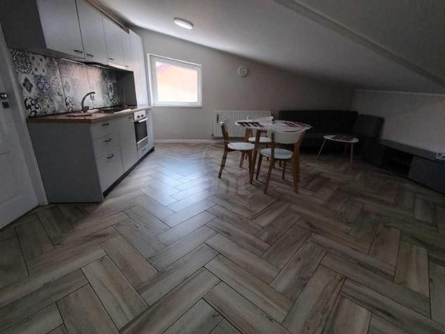 Apartament de Inchiriere 3 camere, APCJ247235FLO