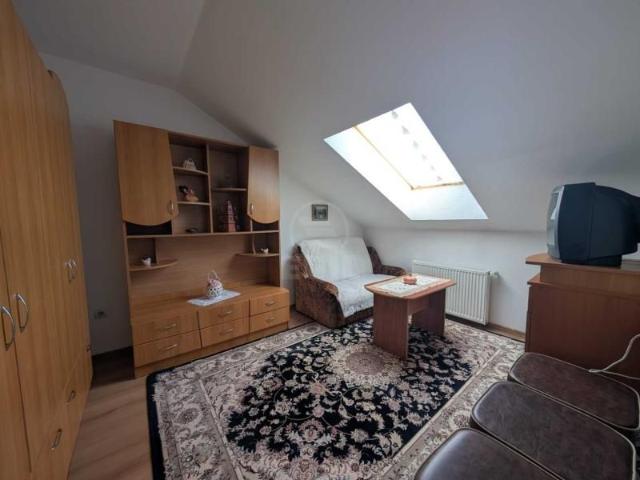 Apartament de Inchiriere 2 camere, APCJ246911FLO