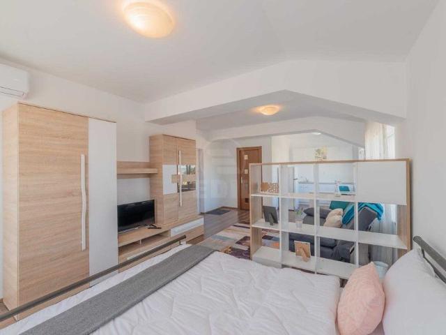Apartament de Închiriere o camera, APCJ353088