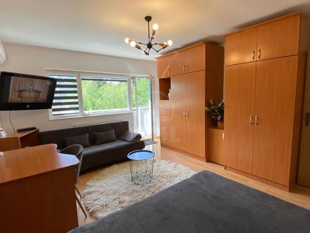 Apartament de Închiriere o camera, APCJ358304