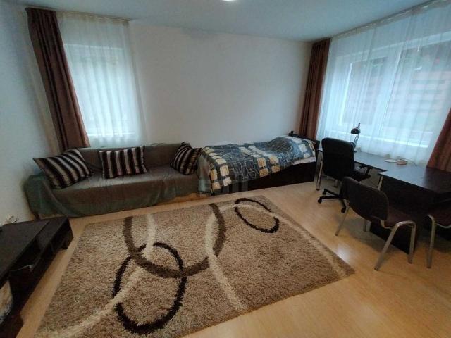 Apartament de Închiriere o camera, APCJ358413