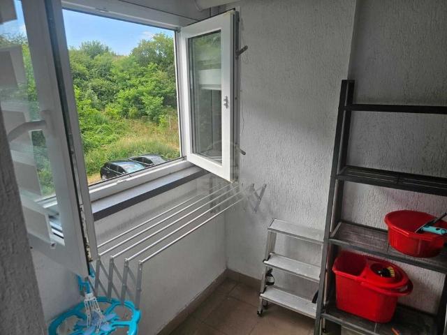 Apartament de Închiriere o camera, APCJ359538