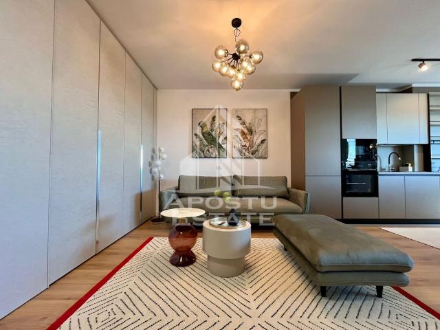 Apartament de lux cu 2 camere, open space, zona Take Ionescu ISHO