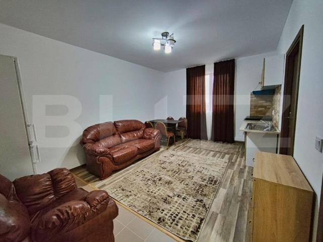 Apartament de 2 camere, balcon, centrala termica, zona drumu