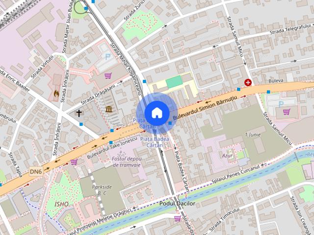 Apartament Deosebit cu 3 camere