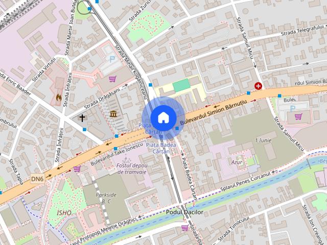 Apartament Deosebit cu 3 camere