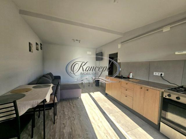 Apartament pet friendly cu parcare pe strada Florilor, Flore