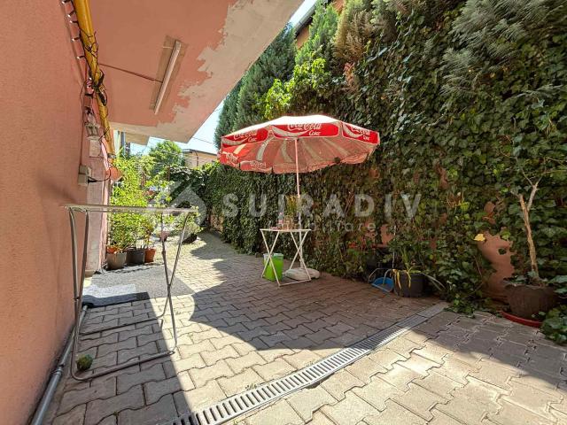 Apartament pet friendly, curte proprie, parcare Manastur