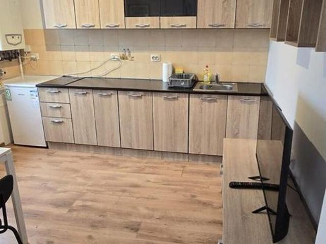 Apartament premium de inchiriat, cu 2 camere, zona Iosefin