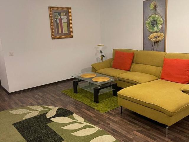 Apartament strada Crinilor