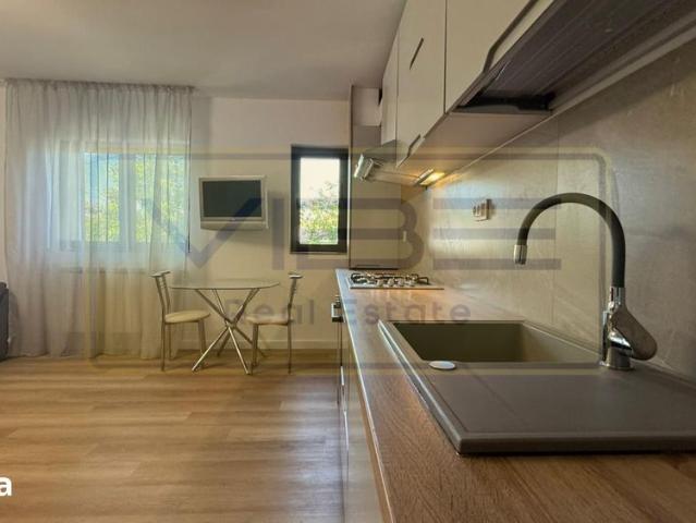 Apartament STUDIO Gara Centru Palas Campus