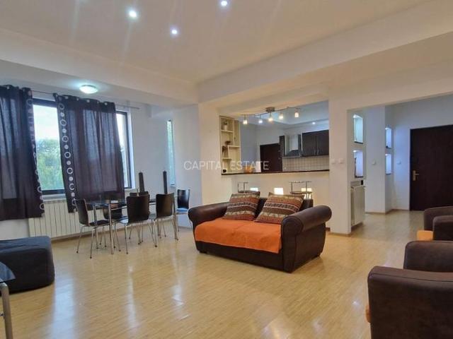 Apartament Spatios In Vila Stefan cel Mare
