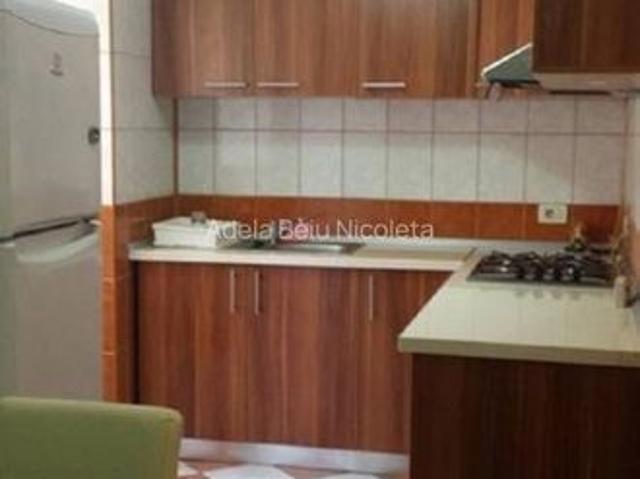 Apartament spatios si luminos Palatul Cotroceni