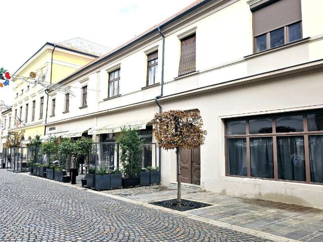 Apartament ultracentral cu diverse oportunități de exploatare