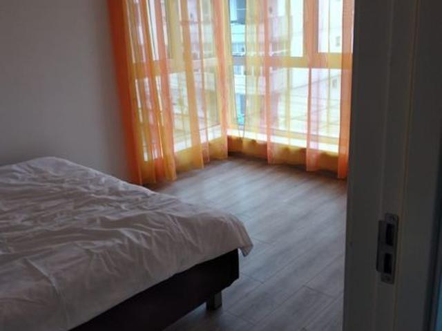 Apartament ultracentral Ludus
