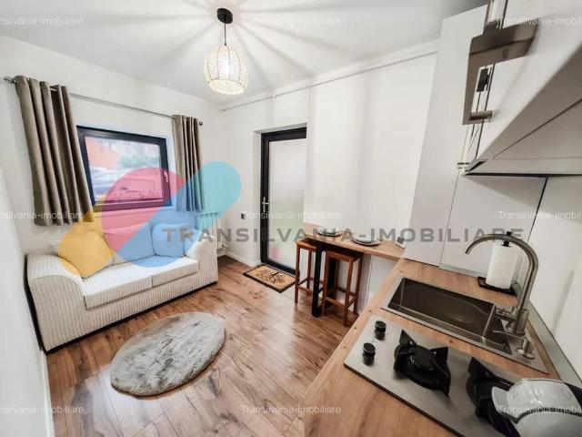 Apartament zona centrală, curatenie inclusa Strada Horea