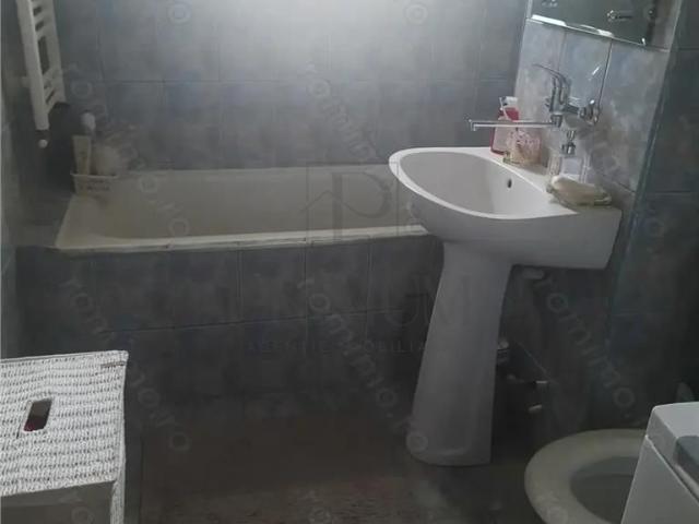 Apartament 1 camera confort 1 Buziasului