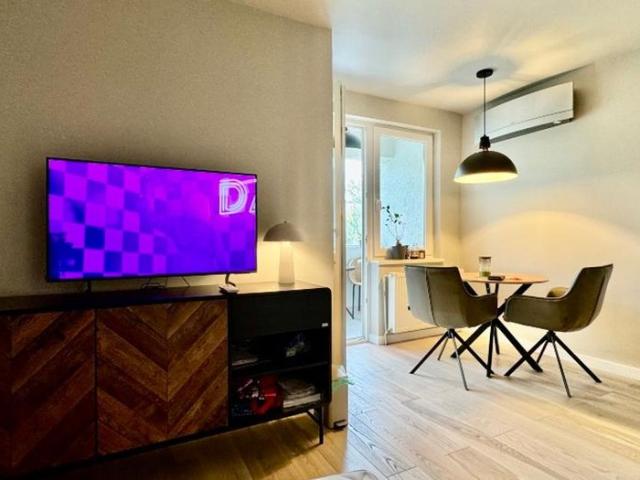 Apartament 1 camera Cornisa UMF