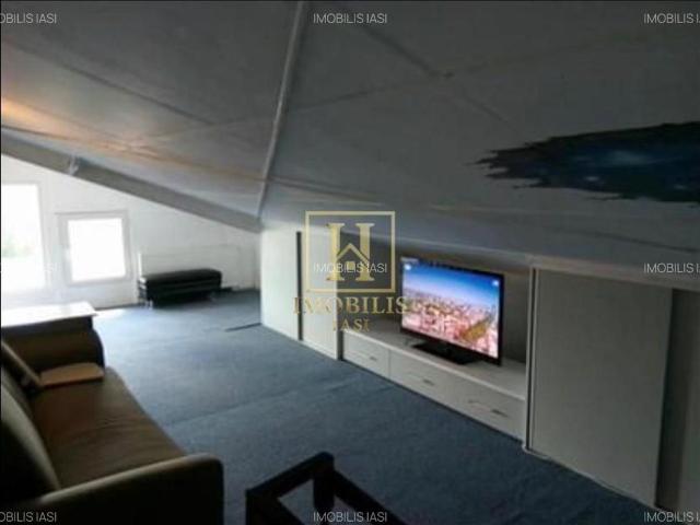 Apartament 1 camera Dec + mansarda 50 mp Nicolina Lidl 380 euro