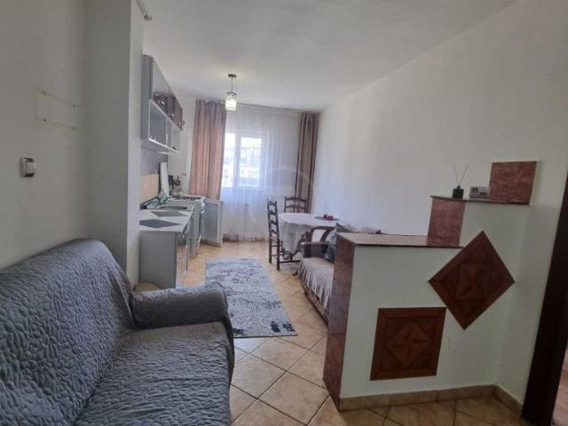 Apartament 1 camera decomandat Florilor