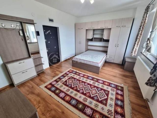 Apartament 1 camera, Palas, 30mp