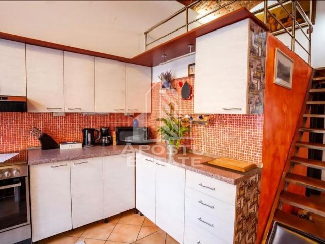 Apartament 1 camera, PetFriendly, zona centrala