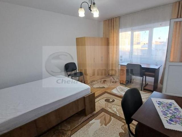 Apartament 1 Camera Podul Ros 340 euro
