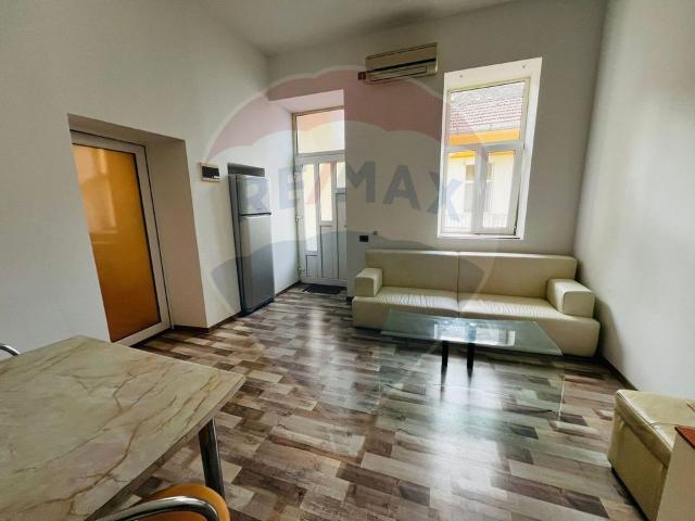 Apartament 1 camera vanzare in casă / vilă Arad, Ultracentral vezi locația pe hartă