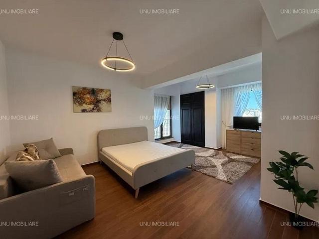 Apartament 1 camera zona Pacurari