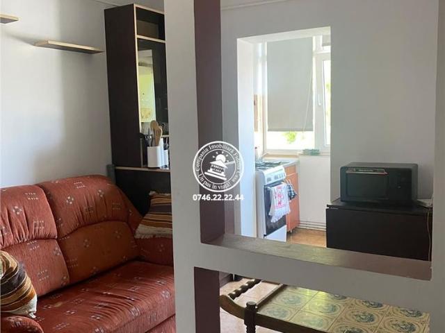 Apartament 1 camera zona Targu Cucu Profesor Paul
