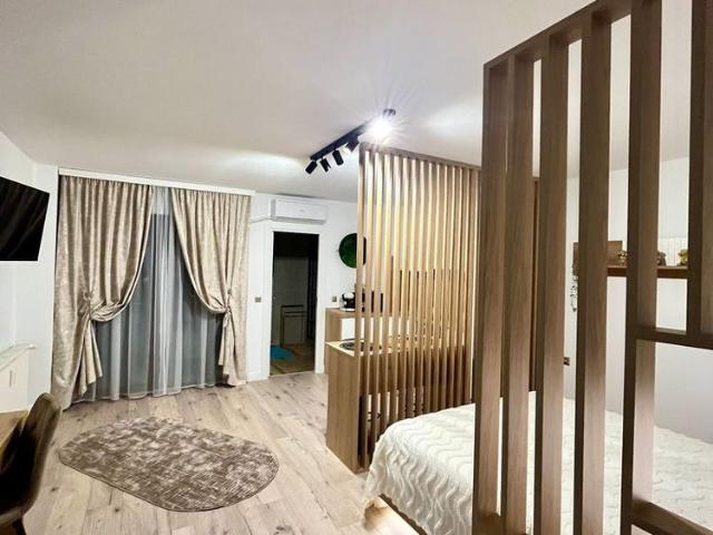 Apartament 1 camera 35 mp tip studio, Central Palas 450euro
