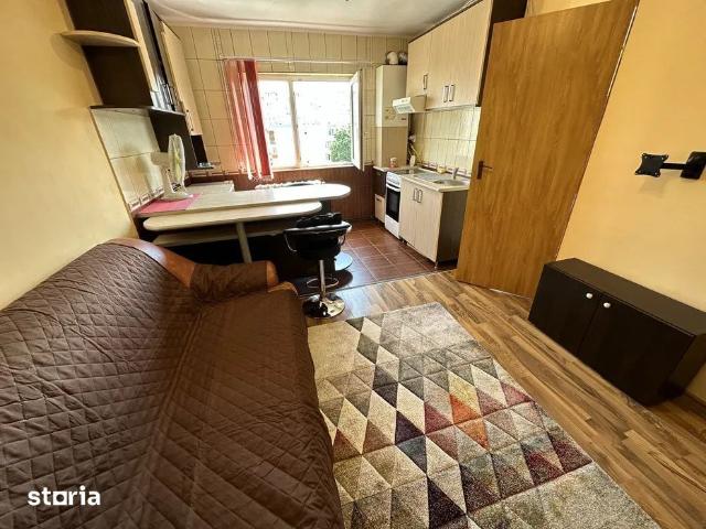 Apartament 1 camera, 40 mp, AC, pet friendly, Zona The Office