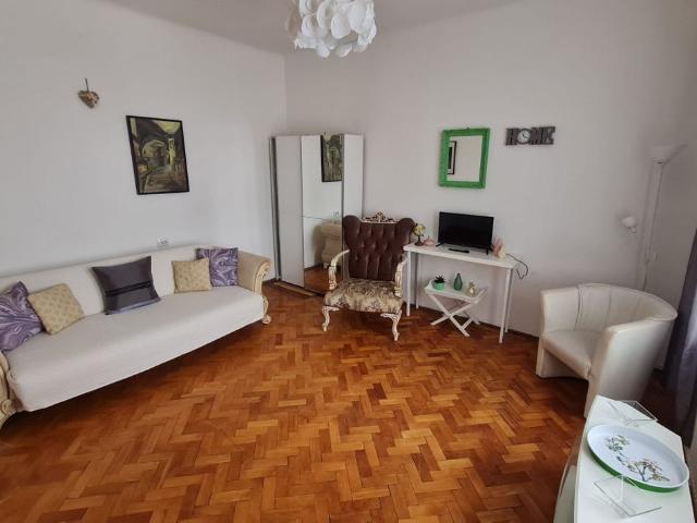 Apartament 1 camere zona Central/Cat frienfly