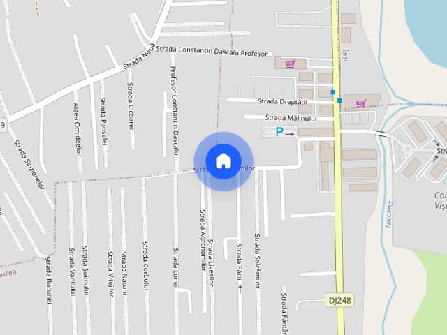 Apartament 2 camere mobilat si utilat Cartier Visoianu Iasi