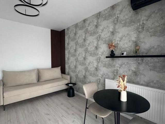 Apartament 2 camere modern 400E Ilie Petre 48