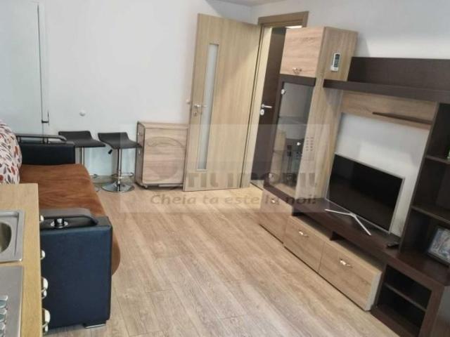Apartament 2 camere Newton Nicolina