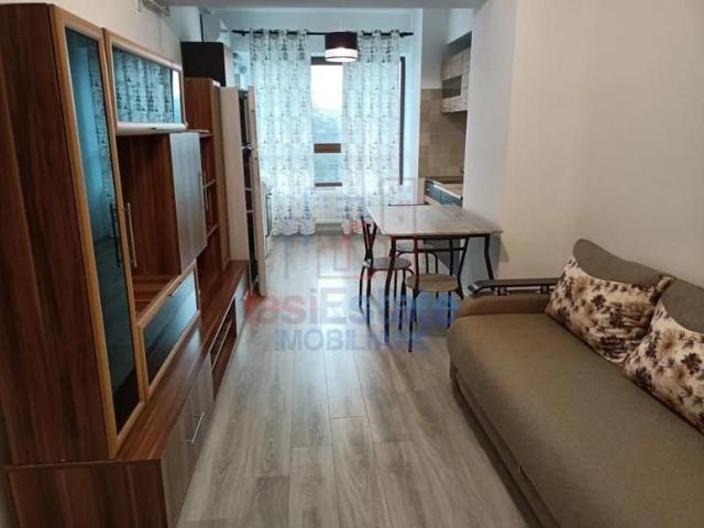 Apartament 2 Camere Nicolina Rond Vechi