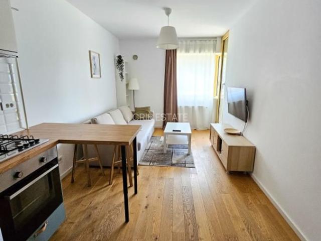 Apartament 2 camere Aviatiei Park | Alexandru Serbanescu | Caramfil