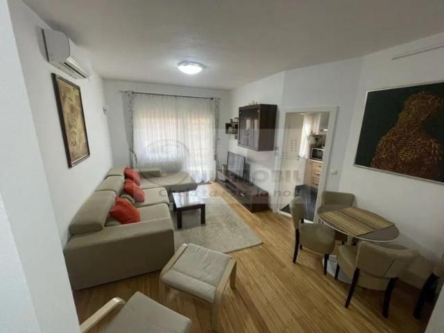 Apartament 2 Camere cu Gradina si Terasa Bellevue Copou | Parcare